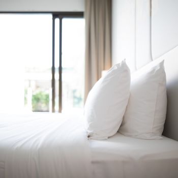 Duvet, Mattress Protector, and Pillow Cleaning